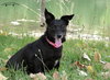 Minnie Mouse-ADOPTED 09.05.12