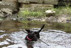 Minnie Mouse-ADOPTED 09.05.12
