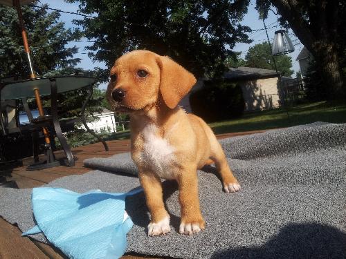 Kf Litter-June - ADOPTED 07.24.12