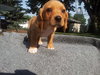Kf Litter-June - ADOPTED 07.24.12