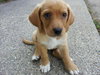 Kf Litter-June - ADOPTED 07.24.12