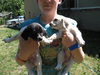 Kf Litter-Dolly - ADOPTED 07.08.12