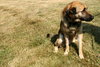 Fresno-ADOPTED 07.10.12