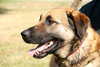Fresno-ADOPTED 07.10.12