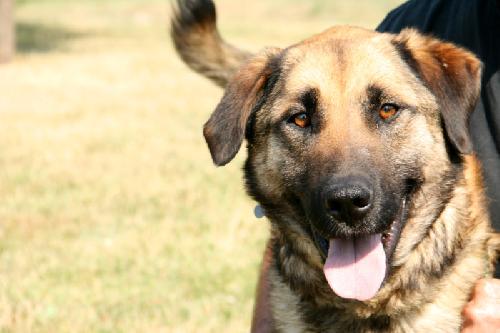 Fresno-ADOPTED 07.10.12
