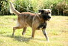 Frisco-ADOPTED