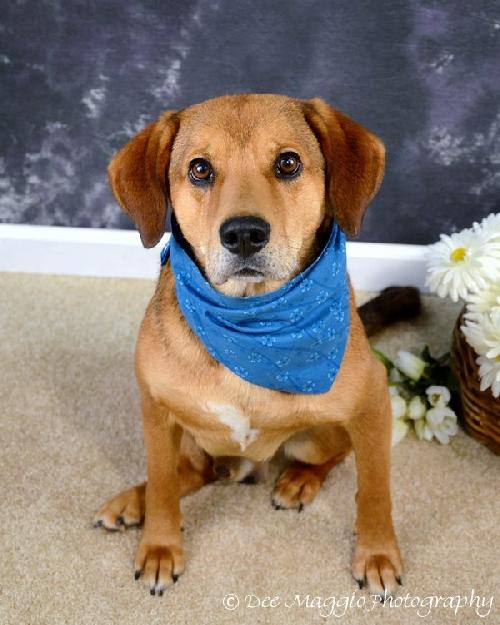 Sniffers-ADOPTED 09.16.13