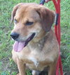 Sniffers-ADOPTED 09.16.13