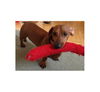 Mrs. Roper - ADOPTED 07.03.12