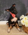 Wizard - ADOPTED 12.22.12