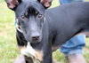 Wizard - ADOPTED 12.22.12