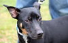 Wizard - ADOPTED 12.22.12
