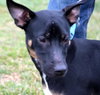 Wizard - ADOPTED 12.22.12