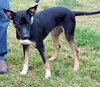 Wizard - ADOPTED 12.22.12