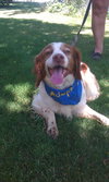 Amber-ADOPTED-7.18.12