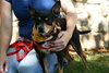 Sid - ADOPTED 04.23.14