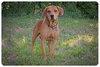 Houston-ADOPTED 09.22.12
