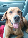 Houston-ADOPTED 09.22.12
