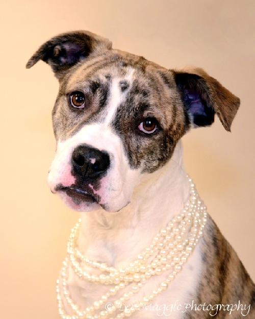 Summer - ADOPTED 02.12.13