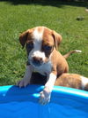 Zip - ADOPTED 10.03.13