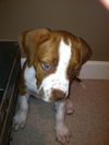 Zip - ADOPTED 10.03.13