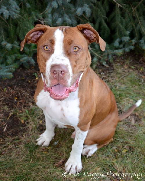 Zip - ADOPTED 10.03.13