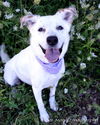 Jasmine-ADOPTED 11.26.12