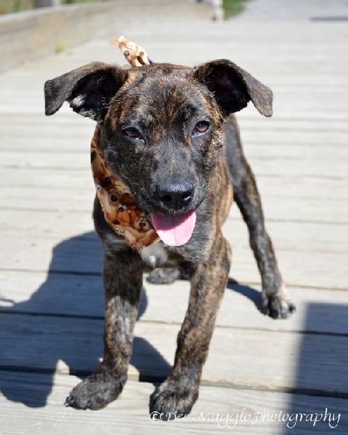 Tf Litter Timmy - ADOPTED 10.03.12