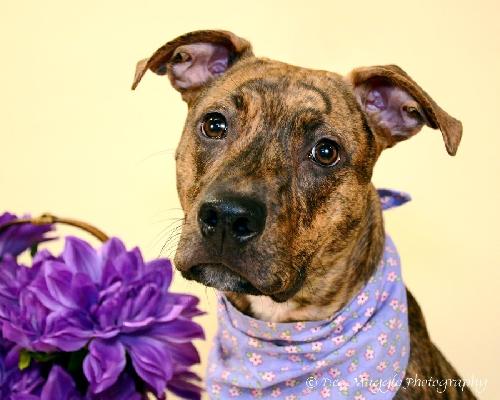 Tiny Tina - ADOPTED 02.03.13