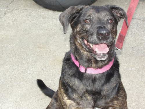 Marty-ADOPTED 01.27.12