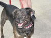 Marty-ADOPTED 01.27.12