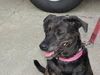 Marty-ADOPTED 01.27.12