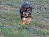 Dina-ADOPTED 06.28.13