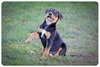 Dina-ADOPTED 06.28.13