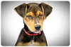 Dina-ADOPTED 06.28.13