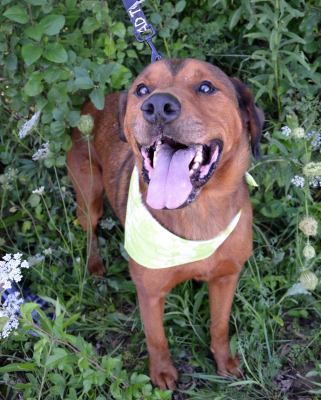 Smoochie-ADOPTED 09.22.12