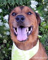 Smoochie-ADOPTED 09.22.12
