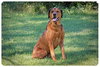 Smoochie-ADOPTED 09.22.12