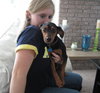 Percy -ADOPTED 11.30.12