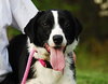 Tilly-ADOPTED 02.02.13