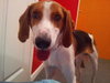 Russel_ADOPTED 09.23.12