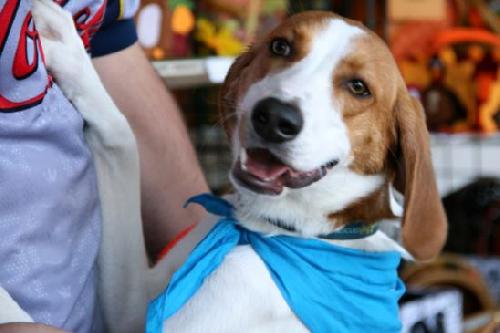 Russel_ADOPTED 09.23.12