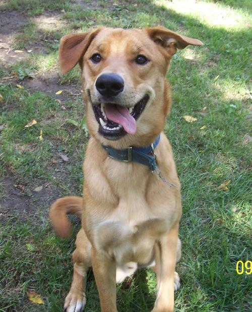 Ruger-ADOPTED 09.23.12