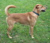 Ruger-ADOPTED 09.23.12