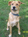 Ruger-ADOPTED 09.23.12