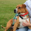 Sonny-ADOPTED 03.12.13