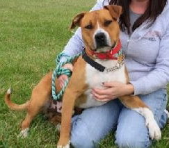 Sonny-ADOPTED 03.12.13