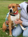 Sonny-ADOPTED 03.12.13