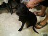Trigger - ADOPTED 09.16.12