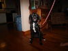 Trigger - ADOPTED 09.16.12